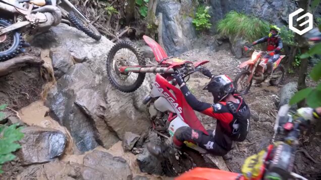 Wild Woods Extreme 2025 Two days in Hell_0.00.00.00