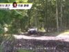 Riassunto della MORIZO Challenge Cup 2025 – 5 Rally Kamui_0.02.03.00