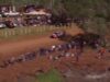 WRC Rally del Paraguay 2025 Was Insane!_0.01.39.00