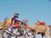 Behind the Scenes – Rallye du Maroc 2025 Monster Energy Honda HRC_0.00.43.00