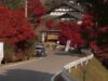 Inside WRC FORUM8 Rally Japan 2025 Your Preview of Teams, Drivers & Big Storylines_0.00.00.00