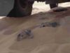Dakar 2026 – Highlights Stage 10 Trucks_0.00.56.00
