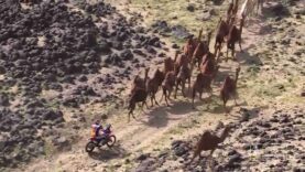 Dakar 2026 – Stage 12 – The Flash – Part 1_0.00.10.00