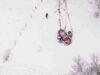 WRC2 Saturday Highlights Rallye Monte-Carlo 2025 – RBTV_0.00.36.00