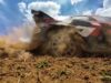 Everything You Need To Know for WRC Safari Rally Kenya 2026_0.06.27.00